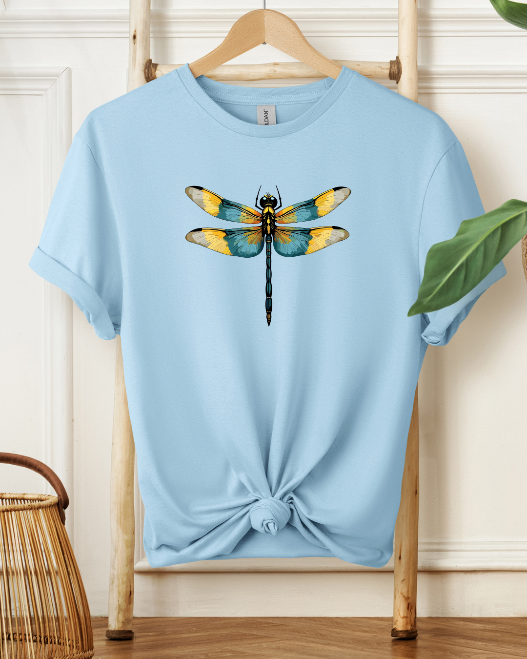 Dragonfly Elegance