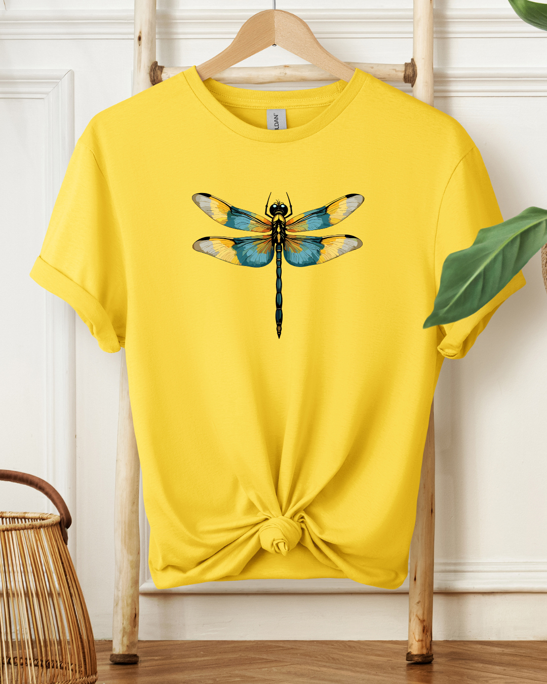 Dragonfly Elegance